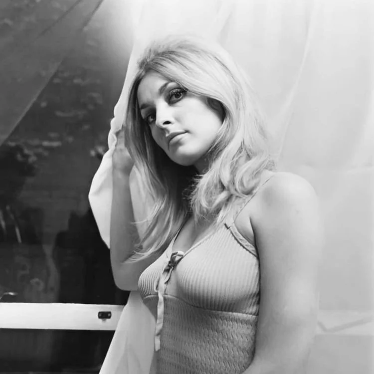 Sharon Tate 15 Photos